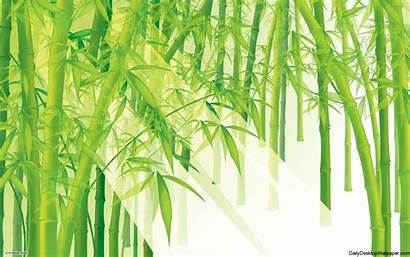 Bamboo Resolution Wallpapers Desktop Looking Backgrounds Illustration