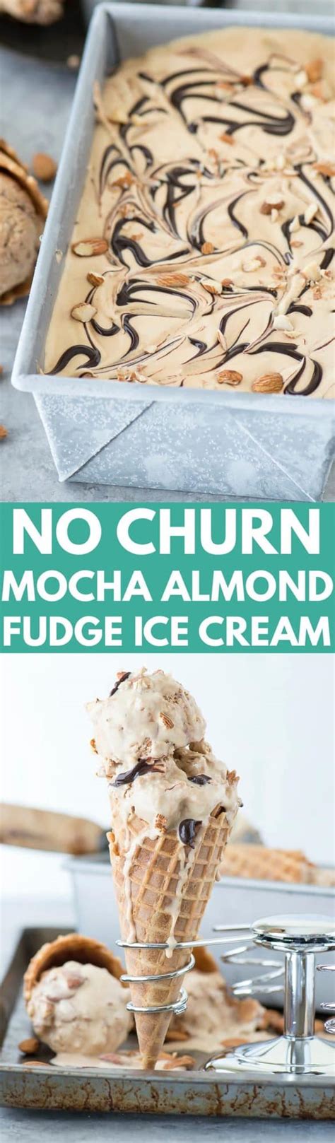 Mocha Almond Fudge Ice Cream The First Year