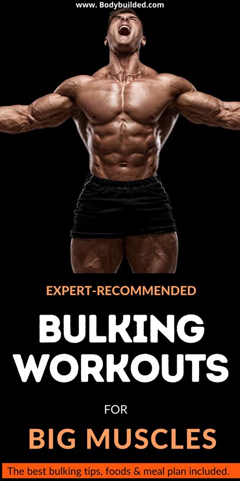 3 Powerful Bulking Workout Programs To Bulk Up Fast And Build Big Body