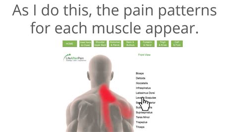 Back Muscle Pain Location Chart Tattoo Pain Charts Pain At The Base