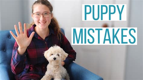 5 Mistakes We Made With Our Maltipoo Puppy Mistakes New Dog Owners