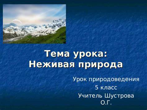 Диета проект по биологии