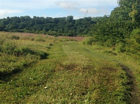 Grass Restoration Nob End Bolton Re Instatement Ccnw Ltd