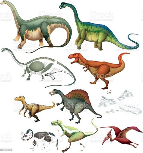 Different Type Dinosaurs Stock Illustration Download Image Now Istock