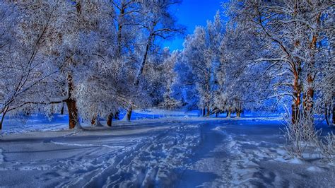 Nature Winter Wallpapers 67 Pictures