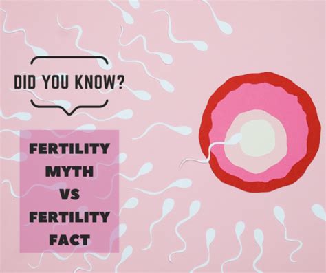 stop believing those fertility myths here are 14 we busted