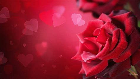 Roses And Hearts Red Roses Heart Hd Wallpaper Pxfuel
