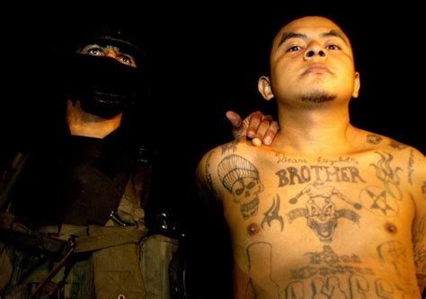 An Alleged Member Of Ms 13 Salvadoran Gang Is Captured By National Civil Police Agents In Santa