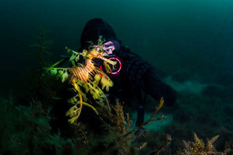 Top Five Underwater Photography Essentials Scuba Diver Life
