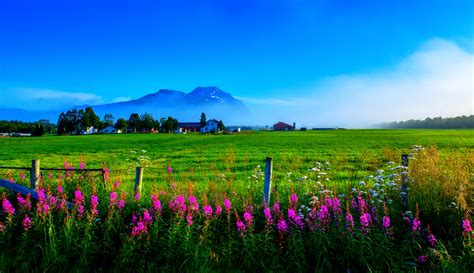 Download Fence Green Grass Flower Field Spring Earth Photography Landscape 4k Ultra Hd Wallpaper