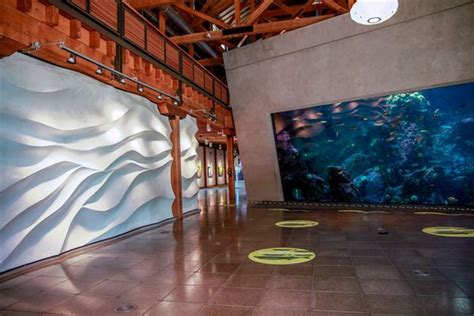 Seattle Aquarium Seattle Wa Meeting Venue