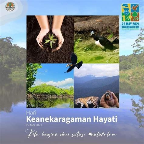 Puisi Tentang Keanekaragaman Hayati