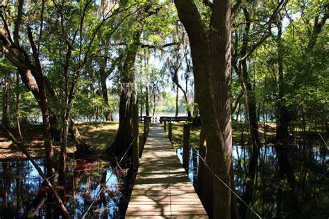 Suwannee River Hideaway Campground Old Town Florida Camp Native Blog