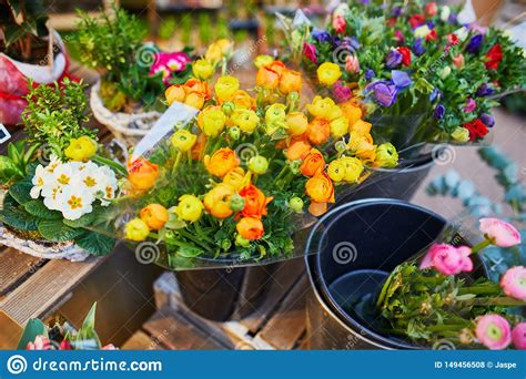 Outdoor Flower Market Stock Photo Image Of Green Bunch 149456508