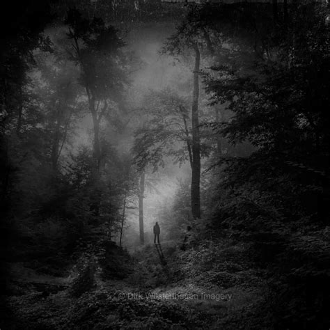 Dark Woods On Behance