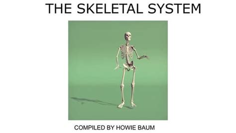 Introduction To The Skeletal Systempptx