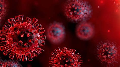 Whats Next For The Coronavirus Outbreak Pomona College In Claremont