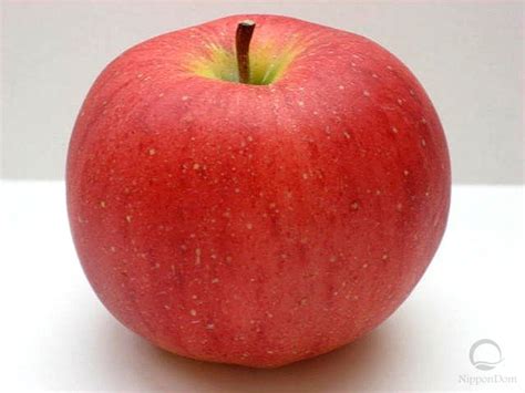 Buy Fuji Apple Large 2 Directly From Japanese Company Nippon Dom