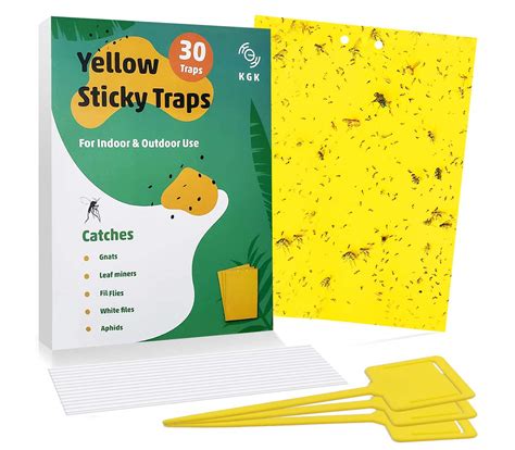 Buy Kgk Sticky Traps 30 Pack Dual Sided Yellow Sticky Traps For