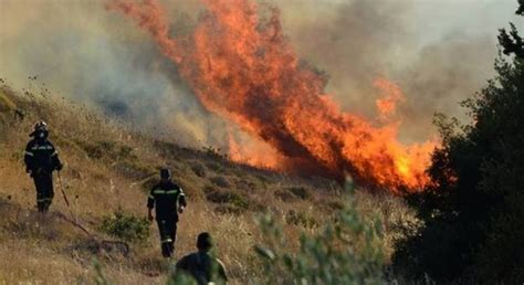 Η φωτιά στην δροσοπηγή, που βρίσκεται ανάμεσα στο κρυονέρι και τις αφίδνες, έχει πάρει μεγάλες διαστάσεις αυτή την ώρα! ΤΩΡΑ: ΦΩΤΙΑ ΣΤΗ ΣΜΙΛΑ ΗΛΕΙΑΣ | Εφημερίδα "Στόχος" - Stoxos newspaper