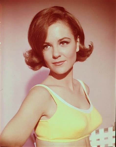 Shelley Fabares Picture
