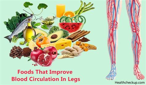 Nutrition For Blood Circulation Health Rijals Blog