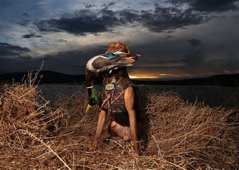 Download Duck Hunting Dogs By Sanderson88 Duck Hunting Backgrounds