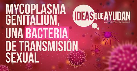 Mycoplasma Genitalium Una Bacteria De Transmisión Sexual