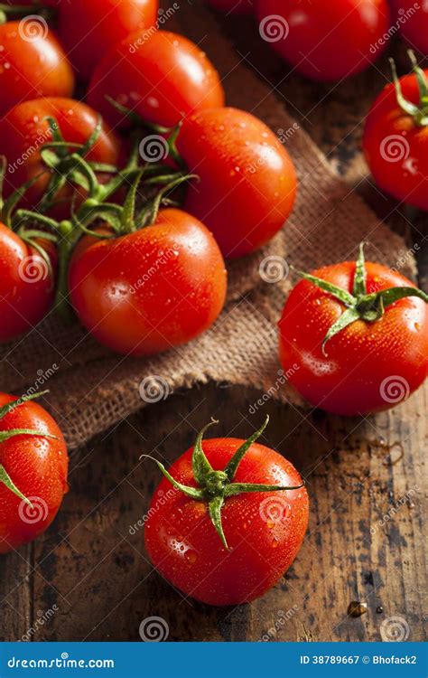Organic Red Ripe Tomatoes Stock Image Image Of Green 38789667