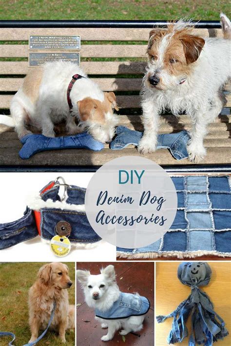 Easy Diy Dog Accessories From Old Jeans Dog Clothes Diy Dog
