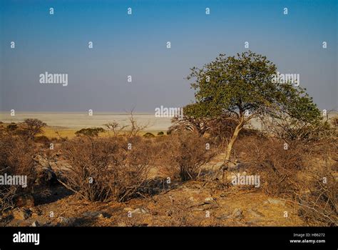 Desert Landscape In Africa Stock Photo Alamy