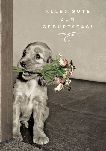 4 lustige bilder mit tieren; Postkarten Online-Shop | Lustig - Sprüche - Mann/Frau ...