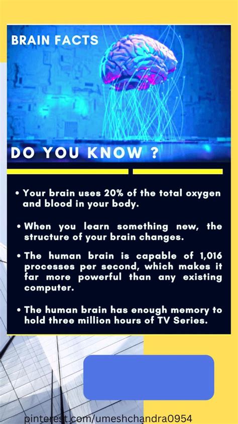 Fun Facts That Blow Your Mind Brain Facts Did You Know Facts Facts