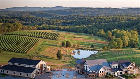 Northern Virginias Vineyards Shine