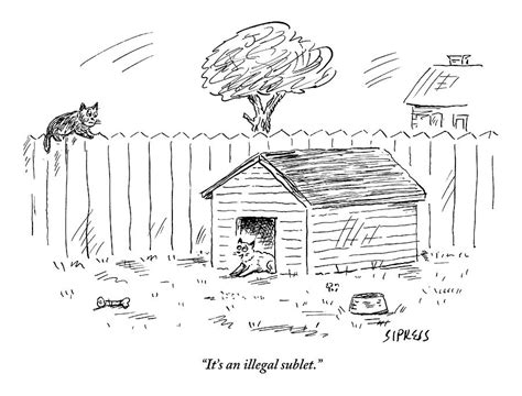 How to draw a dog house easy and how to draw a dog house step by step for this drawing, i used normal paper and pen. A Cat Sits In A Doghouse Drawing by David Sipress