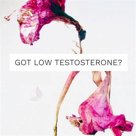 Natural Solutions To Low Testosterone In Young Men Naturopathic