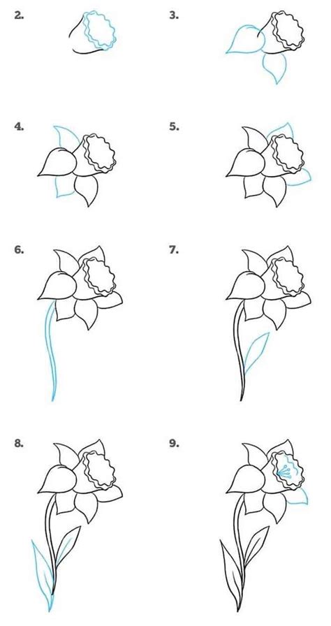 10 Realistic Flower Drawings Step By Step Easy Drawing Tutorials
