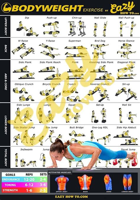Bodyweight Exercise Poster Set Laminated Chart Set Men And Women Body