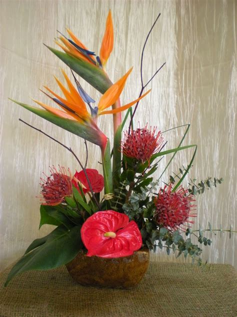 Tall Tropicals~birds Of Paradise Red Anthurium Pincushion Protea