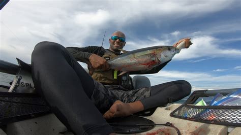 Pesca De Tuna En Kayak En Panamá 4k Pesca En Kayak Panama Youtube