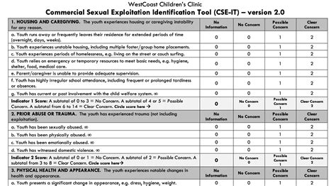 Commercial Sexual Exploitation Identification Tool Cse It