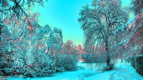 Красивые картинки на заставку про зиму и снег подборка