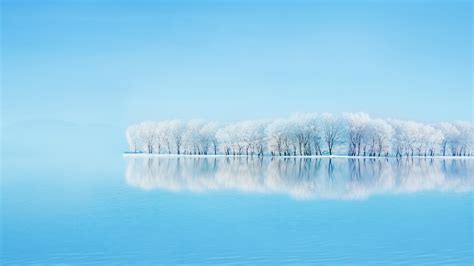 Frosted Trees Reflections Wallpapers Hd Wallpapers Id 30036