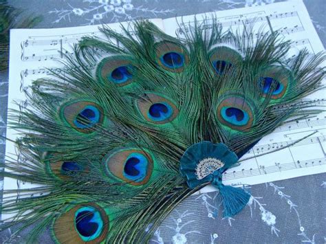 Peacock Teal Fan Feather Fan Peacock Feather Crafts Diy