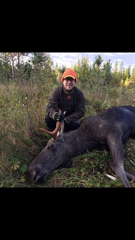 just shot my first moose in sweden today r hunting