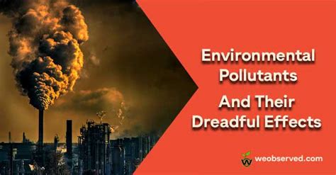 Environmental Pollutants And Their Dreadful Effects We Observed