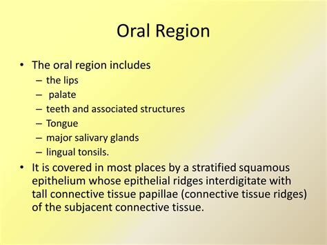 Ppt Digestive System I Oral Cavity And Salivary Glands Powerpoint