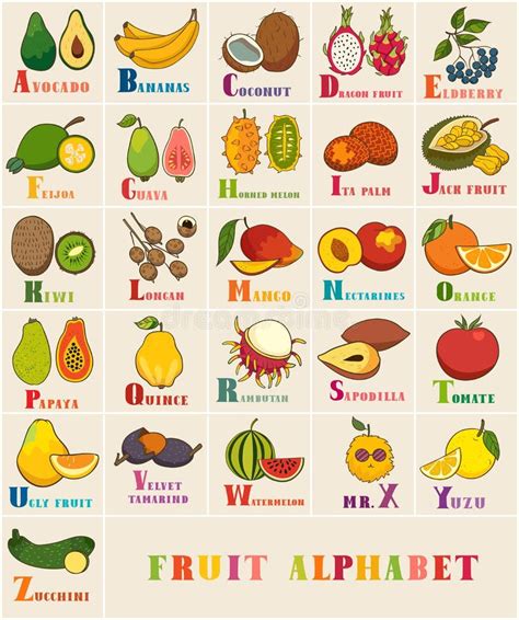 Alfabeto Do Vetor Com Frutas E Legumes Cartão Quadrado Ilustração Do
