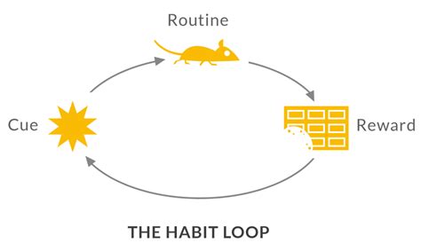 Science Behind How Your Brain Builds Habits Secret To Change Habbits