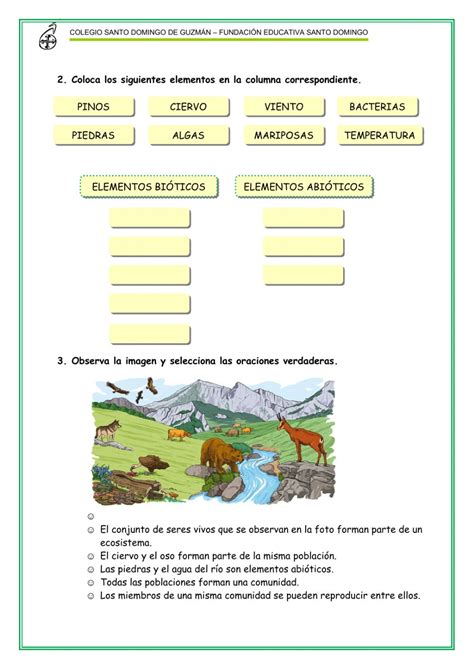 Ejercicios De Los Ecosistemas Online O Para Imprimir B43